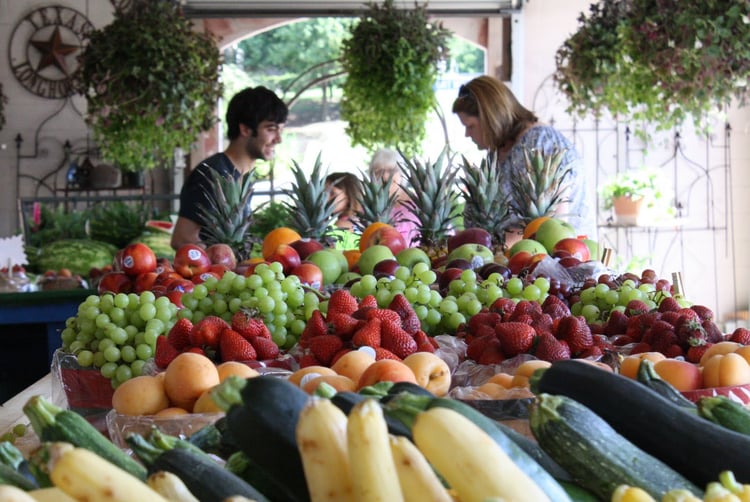 healthy living on the manatee river